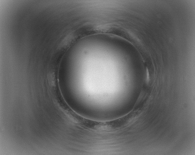 X0000062900689200601131401