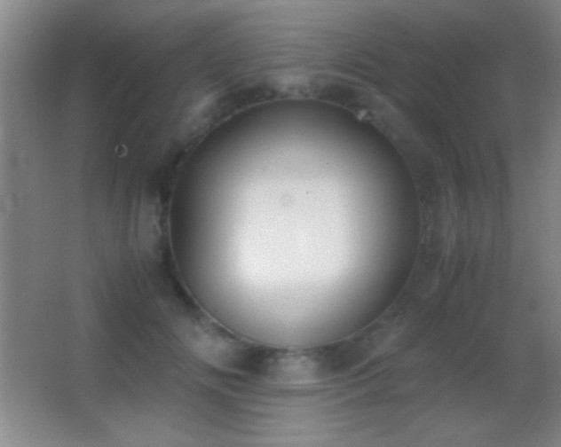 X0000062900702200601131400