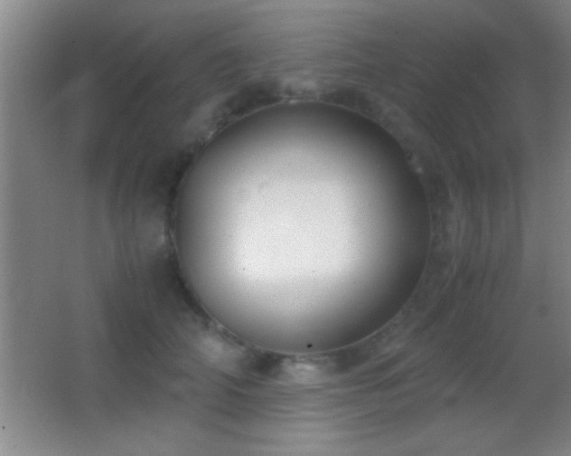 X0000062900706200601131400