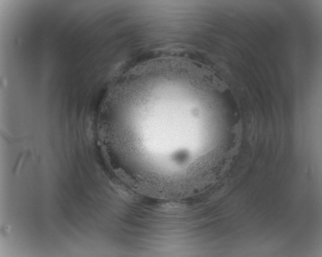 X0000062900708200601131400