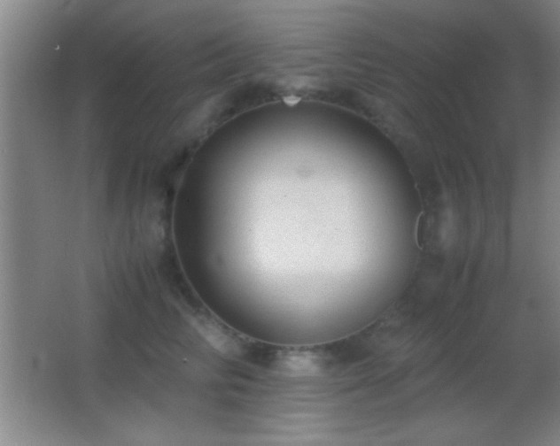 X0000062900710200601131400