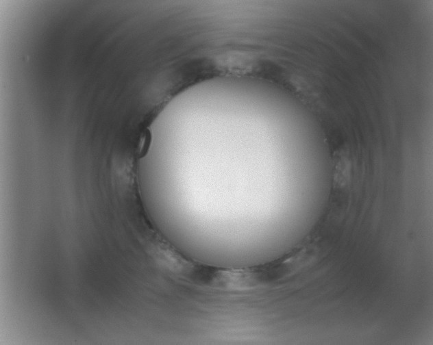 X0000062900713200601131400