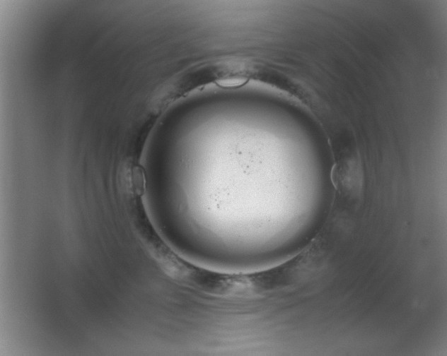 X0000062900715200601131400