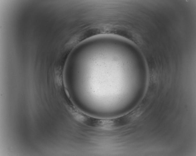 X0000062900719200601131400