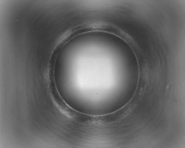 X0000062900730200601131359