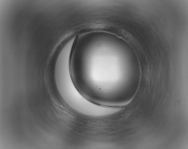 X0000062900731200601131359
