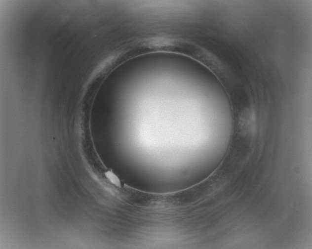 X0000062900732200601131359