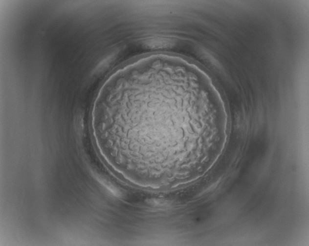 X0000062900733200601131359