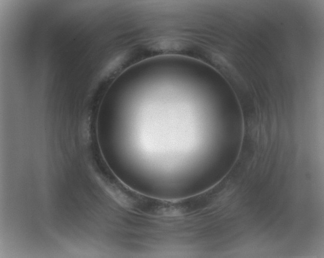 X0000062900735200601131400