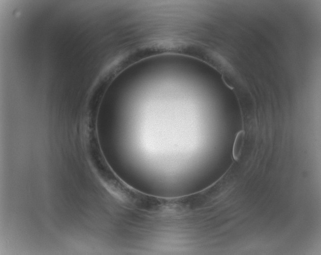 X0000062900736200601131400