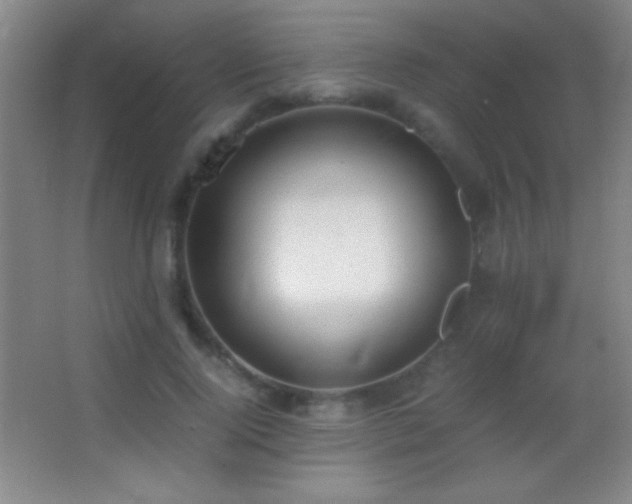 X0000062900740200601131400