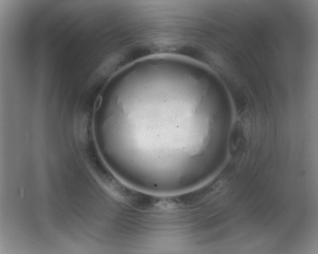 X0000062900742200601131400