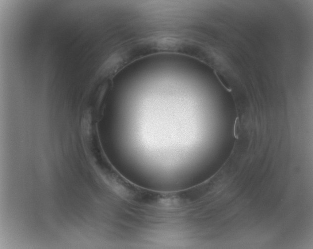 X0000062900744200601131400