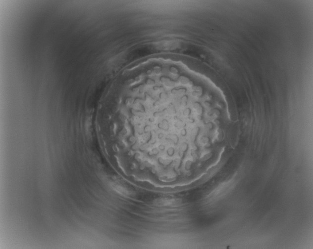 X0000062900745200601131400