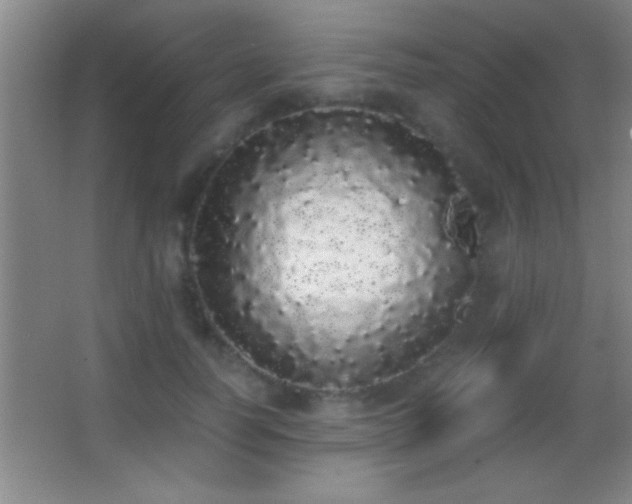 X0000062900746200601131400