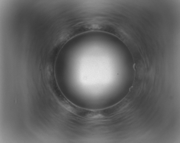 X0000062900747200601131400