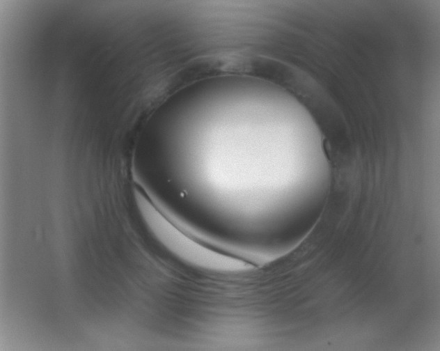 X0000062900748200601131400