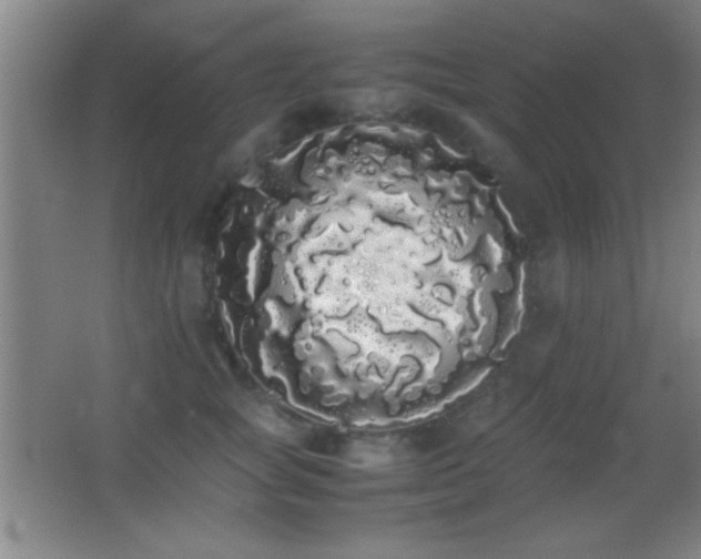 X0000062900757200601131400