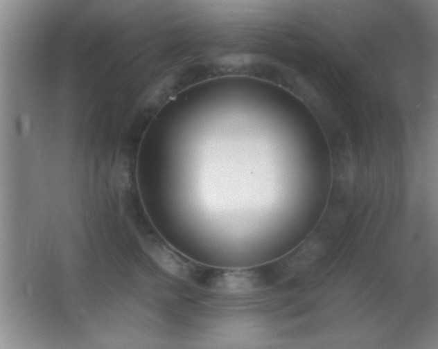 X0000062900758200601131400