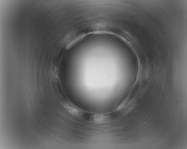 X0000062900766200601131400