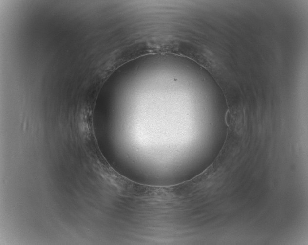 X0000062900770200601131359