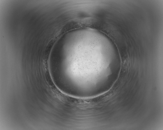 X0000062900772200601131359