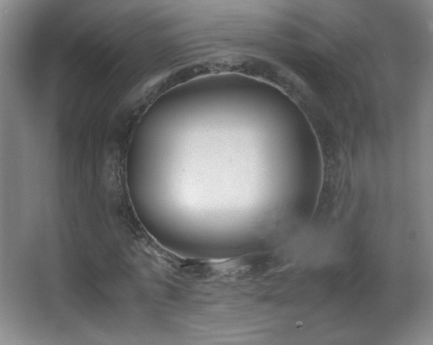 X0000062900773200601131359
