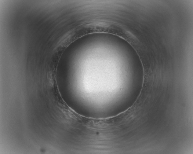X0000062900774200601131359