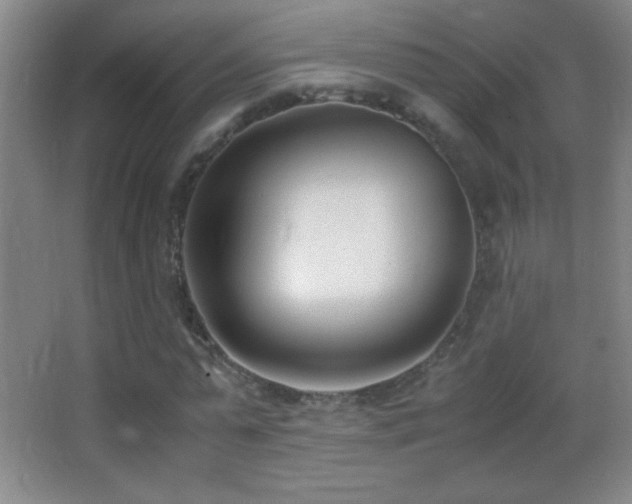 X0000062900775200601131359