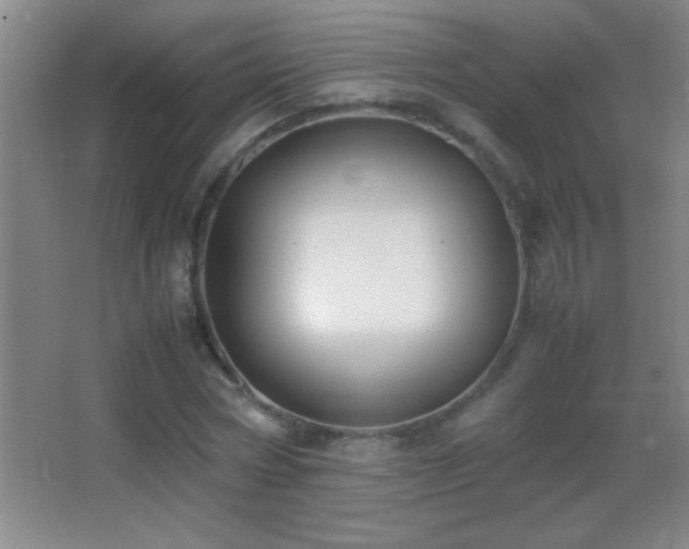 X0000062900778200601131359