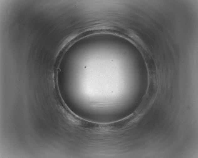 X0000062900781200601131359