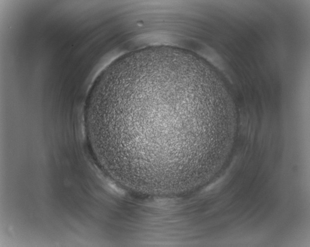 X0000062900782200601131359