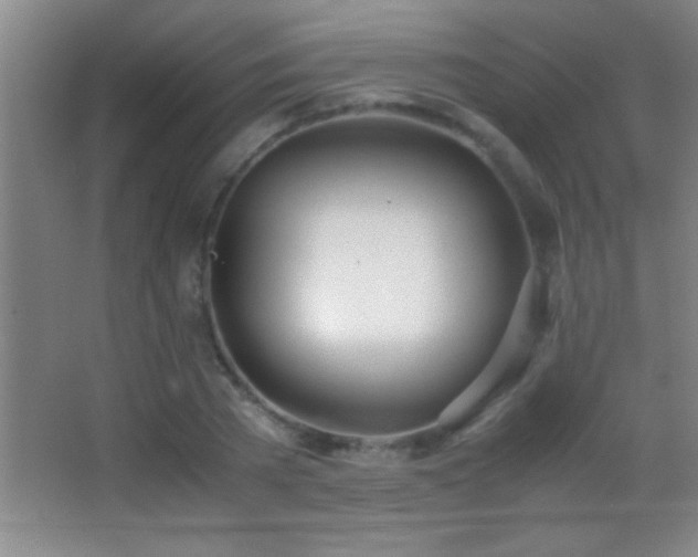 X0000062900785200601131359