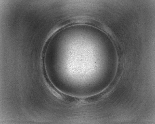 X0000062900787200601131359