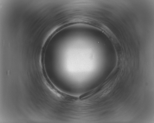 X0000062900788200601131359