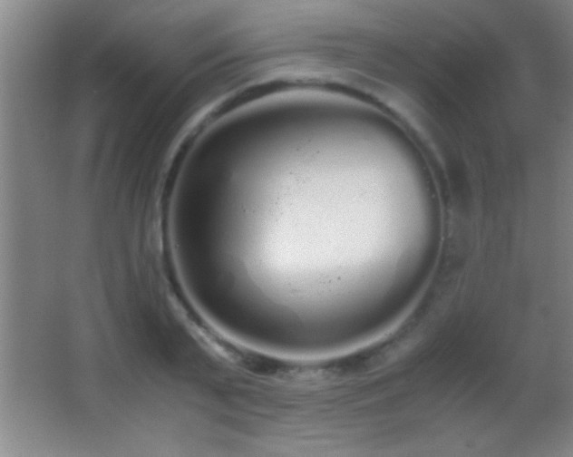 X0000062900791200601131359