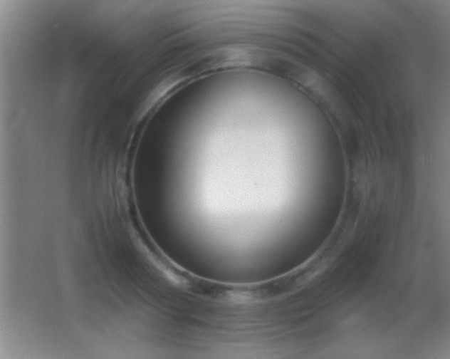 X0000062900794200601131359