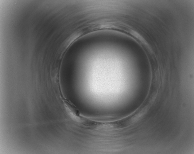 X0000062900801200601131359