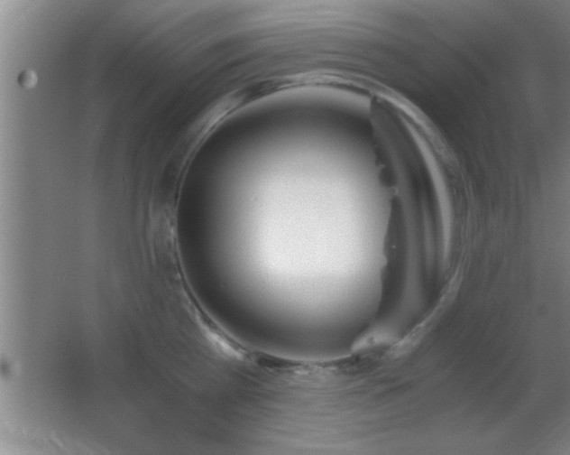 X0000062900809200601131359