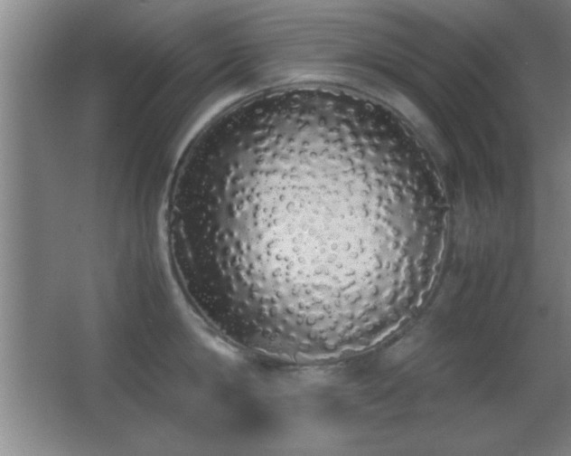 X0000062900814200601131359