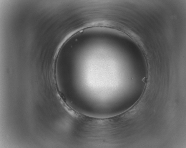 X0000062900816200601131358