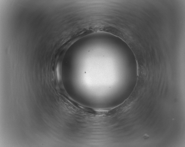 X0000062900818200601131358