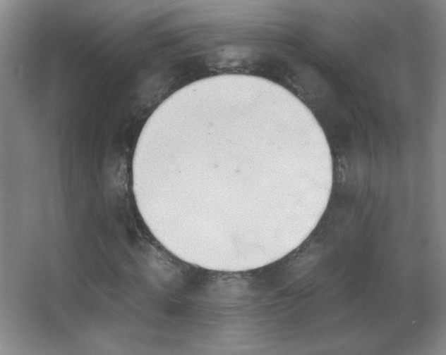 X0000062900820200601131358