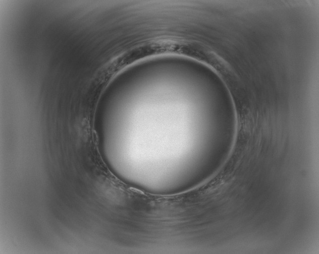 X0000062900821200601131358