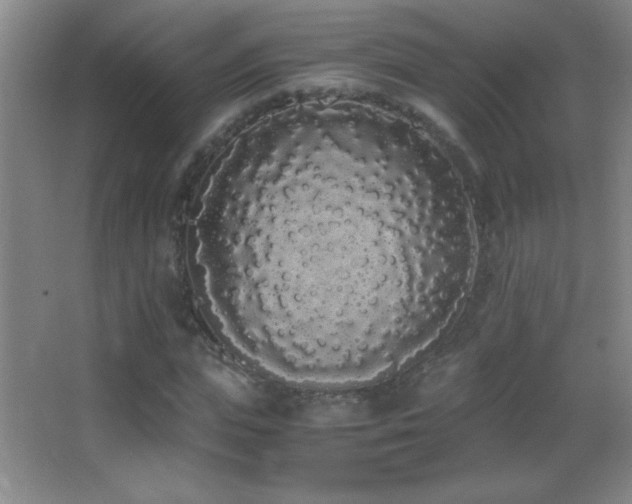 X0000062900823200601131358