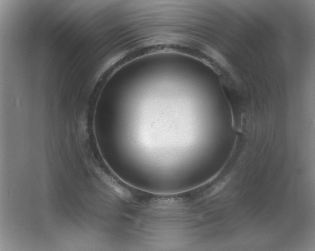 X0000062900826200601131358