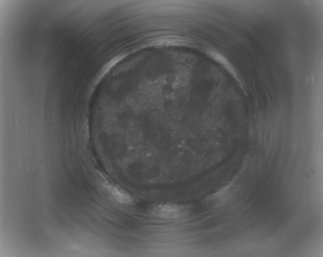 X0000062900829200601131358