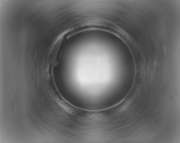 X0000062900830200601131358