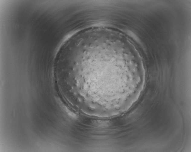 X0000062900831200601131358
