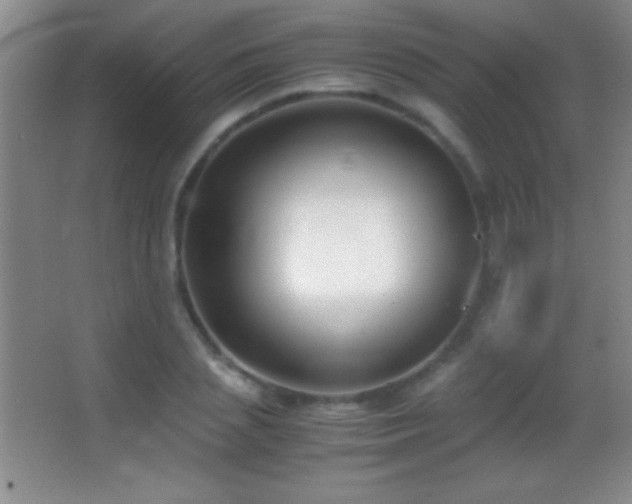 X0000062900837200601131358